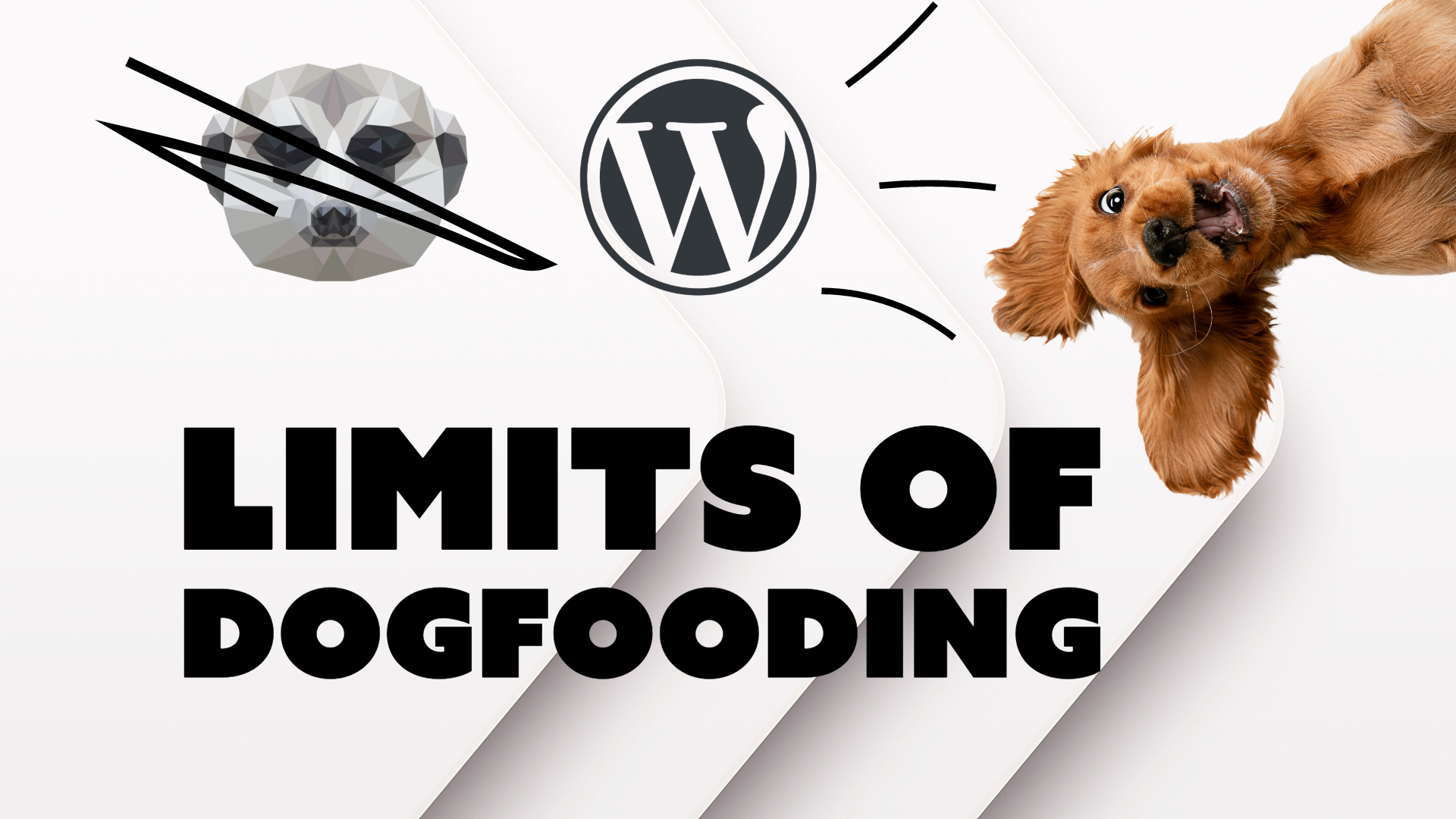 Collage. Arrows pointing to the right in the background. Text: Limits of dogfooding. Meerkats CMS logo crossed out. WordPress logo appearing with a flash. Happy dog.